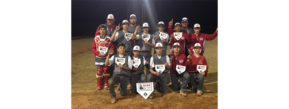 AAA GGBL 12U Gwinnett Shootout Champions